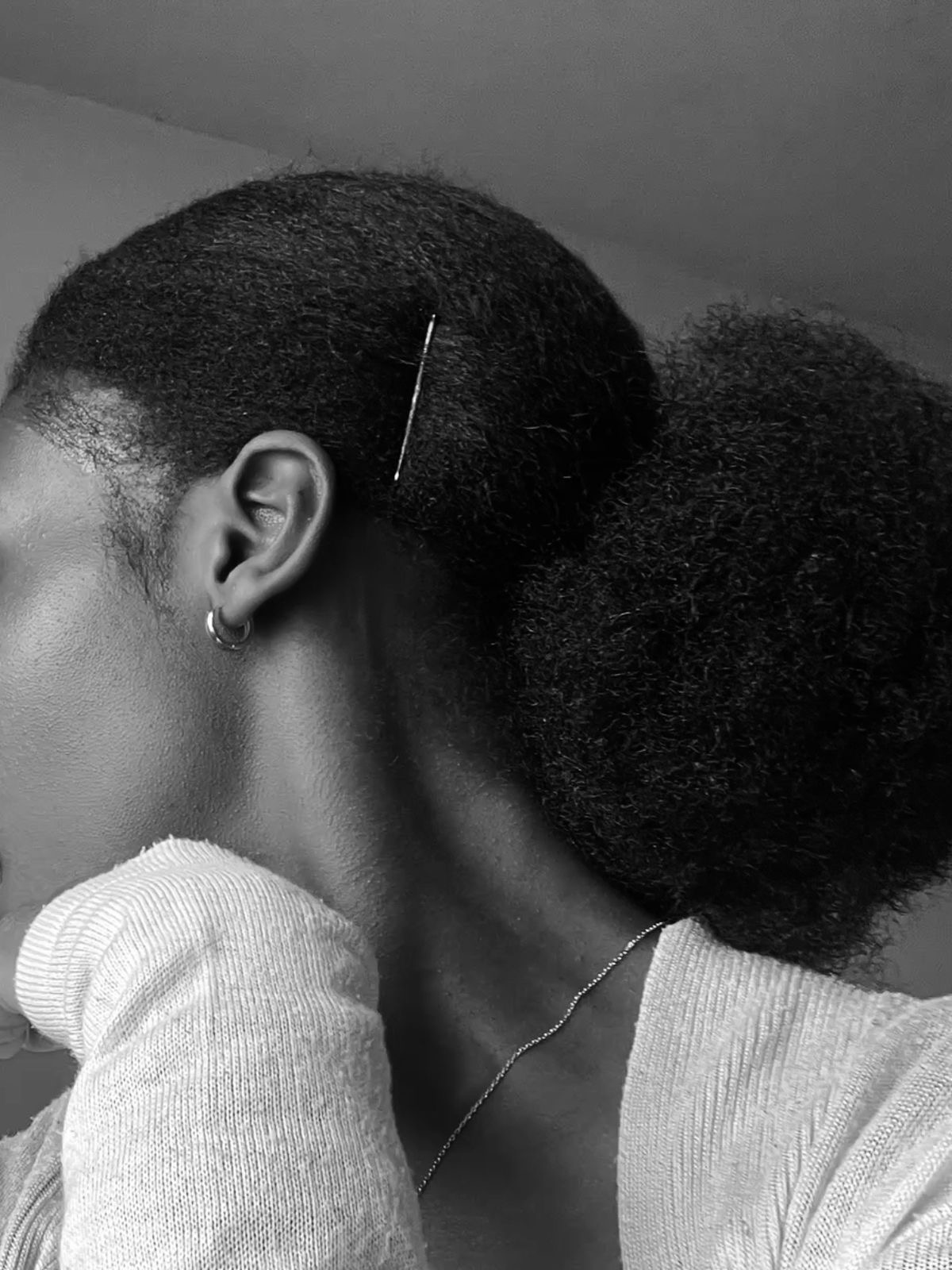 Coiffure protectrice